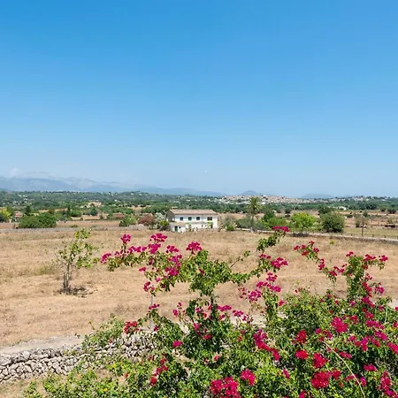 Perello, Swimming Pool And Gardens Villa